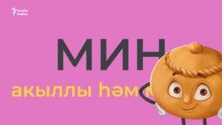 Описание внешнего вида на татарском