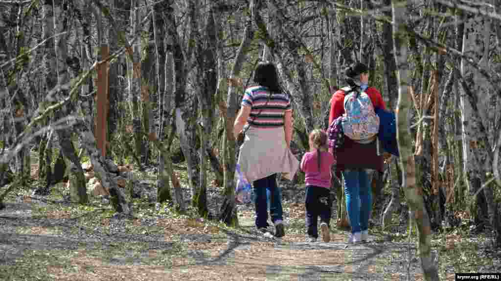 Yolnıñ soñ qısmı bik ormanından keçe