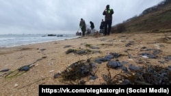 Волонтери збирають мазут на березі Керчі після аварії російських танкерів у Керченській протоці 15 грудня 2024 року, 22 грудня 2024 року