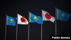 Қазақстан және Жапония тулары.