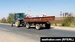 Meýdan işine barýan gyzlar. Arhiw suraty