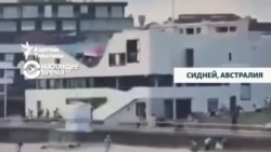 Сиднейдеги ок атуу 11 кишинин өмүрүн алды 
 