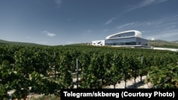 Лозята на "Скалист бряг", фирма, свързана с Медведев