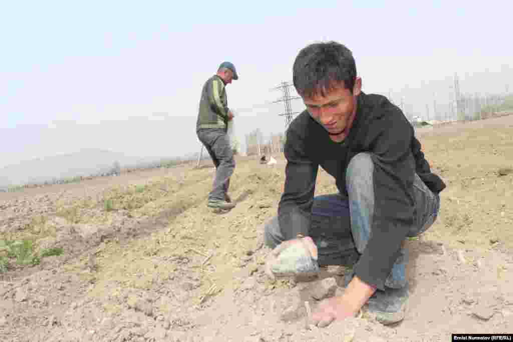 Работа спорится в на любую погоду