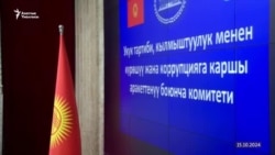 "Жалаа жапкандарды" жазалоо, фейктерге каршы күрөш. Талаштуу долбоор талкууда