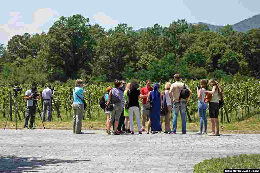 "ყვარლის ედემის" ვენახები.