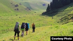 Иллюстрациялык сүрөт. 