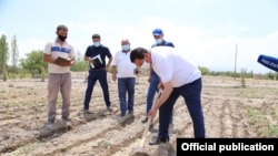 Фарғона вилоятининг собиқ ҳокими Шуҳрат Ғаниев фермерлар даласида. Иллюстратив сурат.