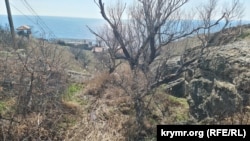 Струмок біля Церкви Дванадцятьох Апостолів на околицях Судака