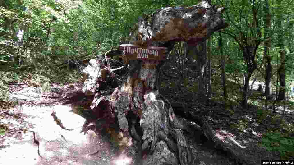 "Poşta emeni" - dereniñ baqılğan yerlerinden birisi. Evelleri bu terekniñ quvuşında turistler tilekler ve hatıralarnen mektüplerni qaldıra ediler. Terek tahminen 1981 senesi yandı. Sürette - terekniñ qalıntıları