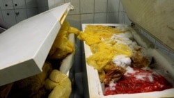Rotting Placentas Overflow From Freezers At Kosovo's Biggest Hospital