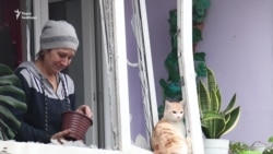 Обстріляне з установки «Град» Новолуганське: люди оговтуються і розбирають завали (відео)