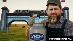 Молочный бизнес окружения главы Чечни (коллаж)