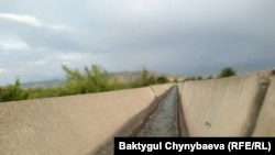 Дыйканды кыйнаган, сууга толбогон каналдар