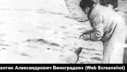 Фото: з книги О. Виноградова «Морской биолог Константин Александрович Виноградов» (Web Screenshot)