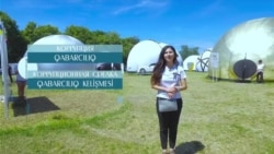 Korruptsiya aqqında | «Elifbe» video dersleri (video)