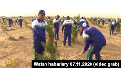 Кадры из репортажа государственного телевидения 