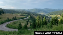 Pasul Mestecăniș, vara.