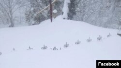 დიდთოვლობა სოფელ შრომაში, ზემოუბანში -თოვლში ჩანს მესრის ზედა დეტალები 