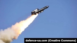 Крылатая ракета FP-5 «Фламинго» украинской компании Fire Point