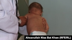 Иллюстративное фото