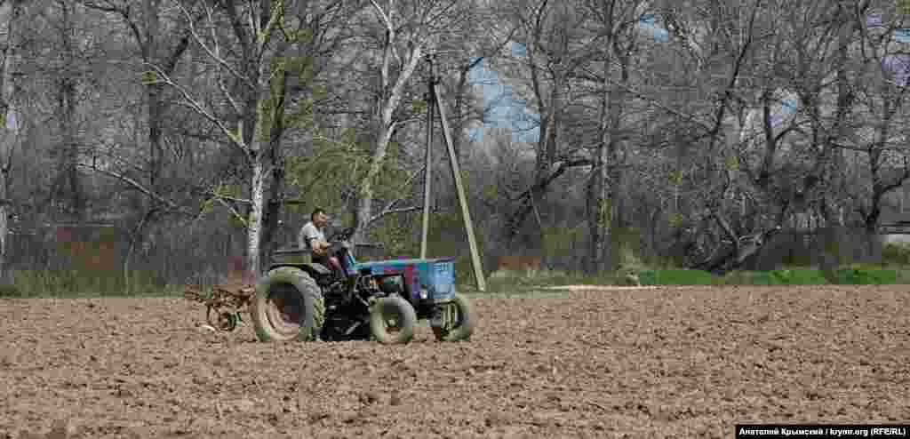 Tarlanı qartop saçmaq içün azırlaylar