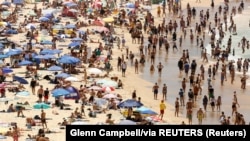 Cиднейдеги пляждардын бири