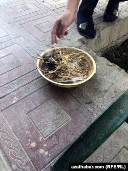 В Ашхабаде снова активизировалось окуривание гармалой-могильником, Июль, 2020