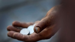 Habarçy: MHM dilegçi çagalaryň garşysyna reýd geçirmekçi bolýar