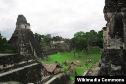 Тикал улуттук паркындагы "Чоң ягуар" храмы. Гватемала.