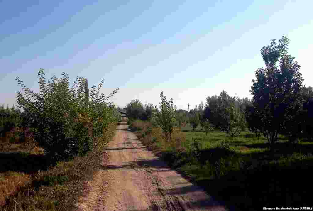 Иномжан Абдурасуловдун "ранчосуна" кеткен жол.