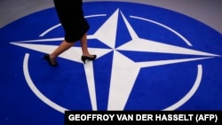 Иллюстрациялык сүрөт. 