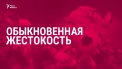 Обыкновенная жестокость