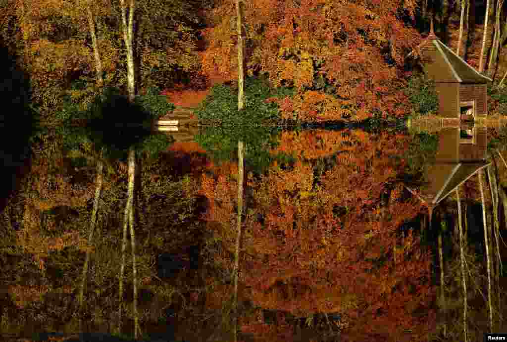 Осень в Шотландии. 