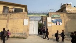 د خيبر پښتونخوا د پرايمري سکولونو ښوونکو په پېښور کې پرلت پیل کړی