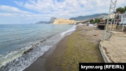 Пляж, усіяний водоростями. Судак, червень 2025 року