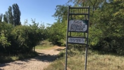 Kriniçnoye köyünde "Rodnik" raatlıq bazası