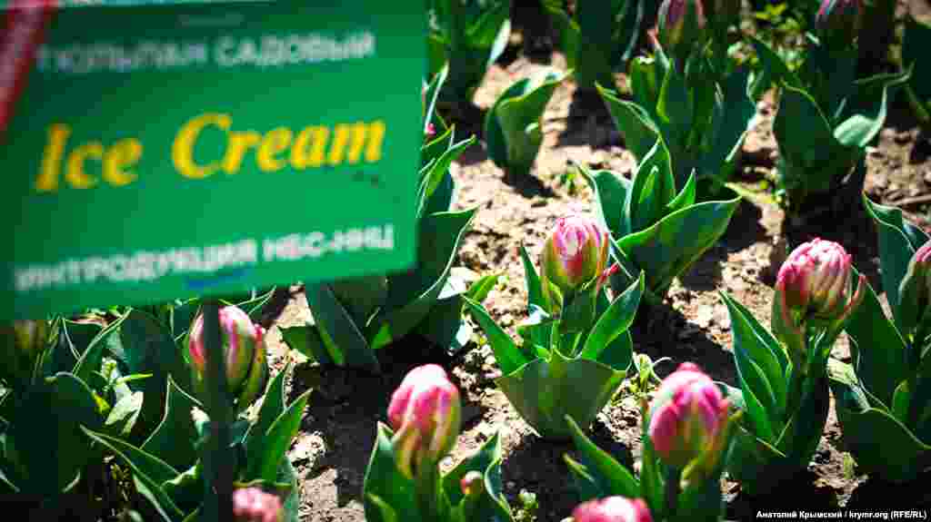 Eñ keç açqan cınıs endi &laquo;uyana&raquo;