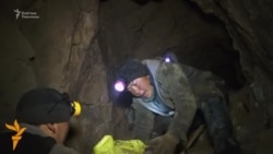 Солтон-Сарынын солго кеткен алтыны