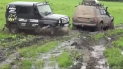 Шүлгән Ташта маҗарачылар сирәк үләннәрне таптап күңел ачкан