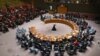 Засідання Ради безпеки ООН, архівне фото