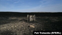 Последствия степного пожара в Каркаралинском районе Карагандинской области. 8 октября 2024 года.