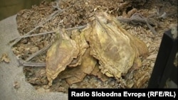 Илустрација.