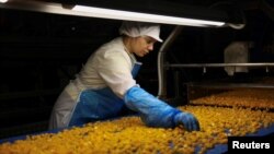 Tarifele lui Trump îngrijorează agricultorii europeni - inclusiv pe cultivatorii de piersici din Ano Zervochori, Grecia.