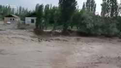 Сел бир жумада он өмүрдү жалмады