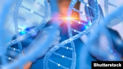 Адам эмбриондорунун ДНКсы. Иллюстрациялык сүрөт.