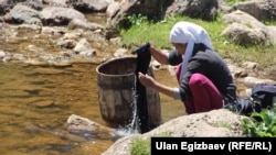 Кыргызстанда өспүрүм куракта турмуш кургандардын саны жалпы баш кошкондордун дээрлик 15 пайызын түзөт.