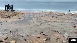 Ликвидация последствий разлива нефтепродуктов на побережье Черного моря