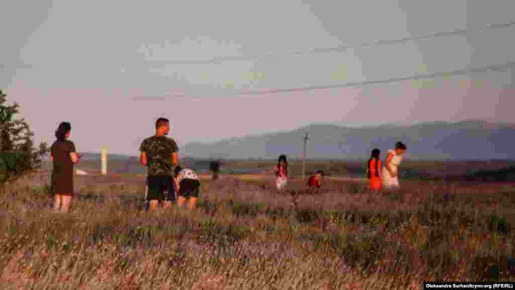 Mında qoqulı ösümliklerni sevgenler güldeste toplay