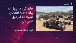 افغان کډوال وايي له پنجابه تر لنډي کوتله له سختو کړاوونو تېر شول